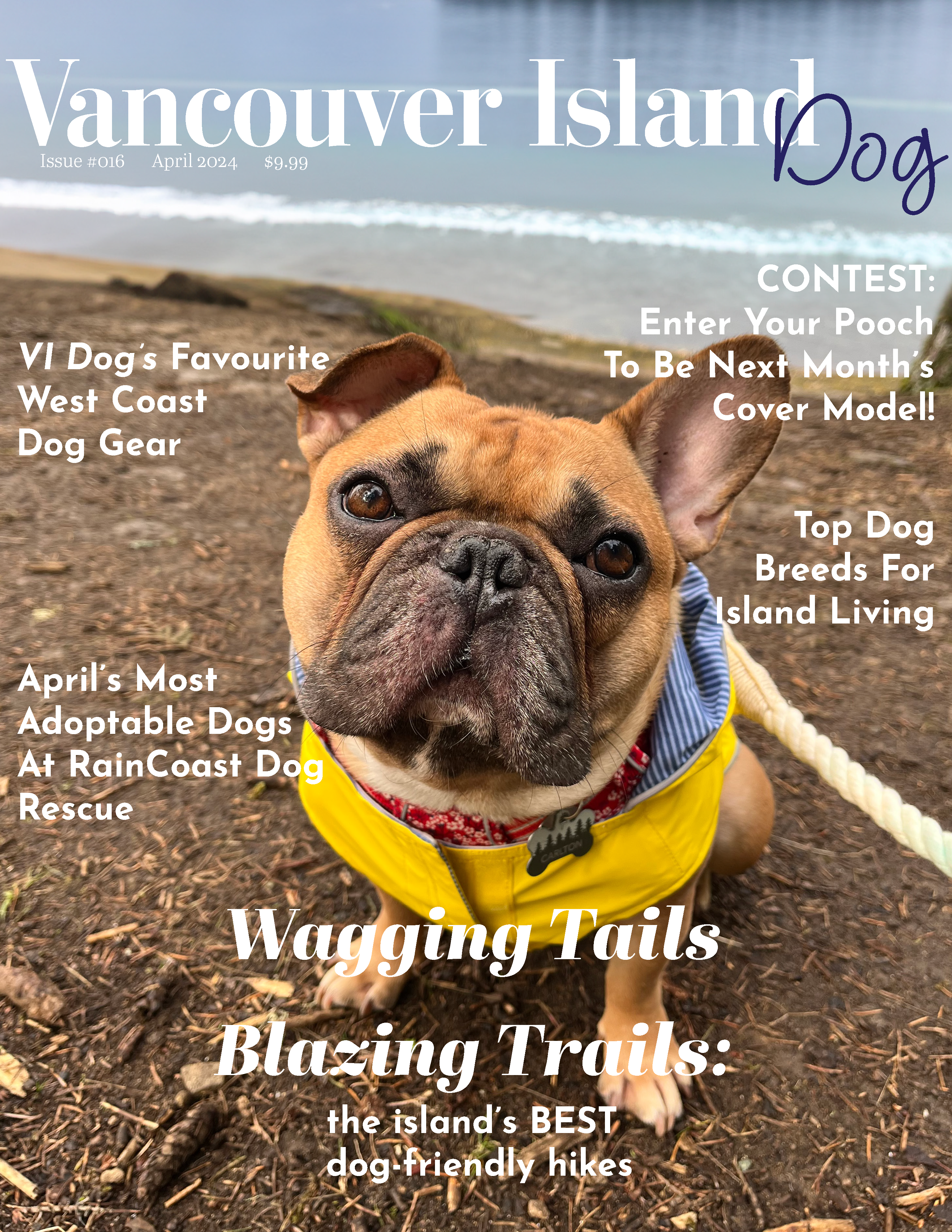 Vancouver Island Dog Magazine Cover